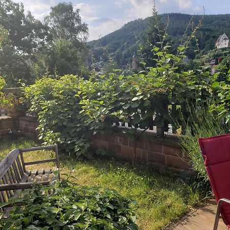 Panorama-Blick Miltenberg, 3 Pers., Zentr., Am Main, Terrasse, Bootverleih, P Εξωτερικό φωτογραφία