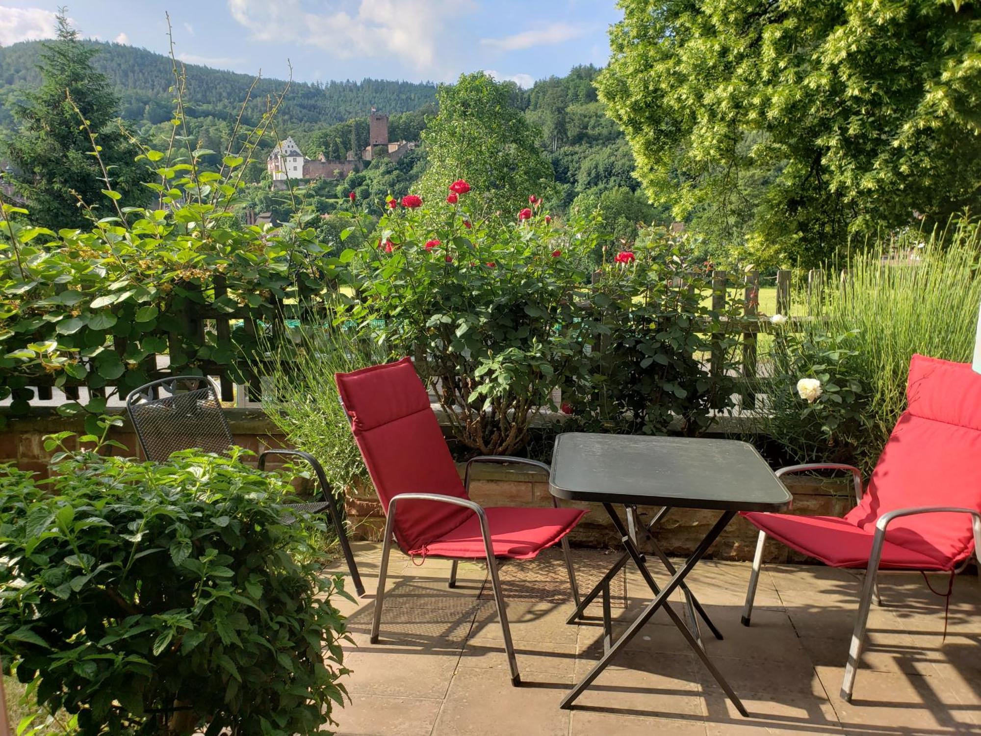 Panorama-Blick Miltenberg, 3 Pers., Zentr., Am Main, Terrasse, Bootverleih, P Διαμέρισμα Εξωτερικό φωτογραφία