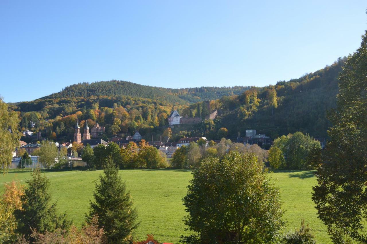 Panorama-Blick Miltenberg, 3 Pers., Zentr., Am Main, Terrasse, Bootverleih, P Διαμέρισμα Εξωτερικό φωτογραφία