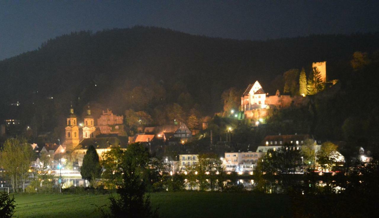 Panorama-Blick Miltenberg, 3 Pers., Zentr., Am Main, Terrasse, Bootverleih, P Εξωτερικό φωτογραφία