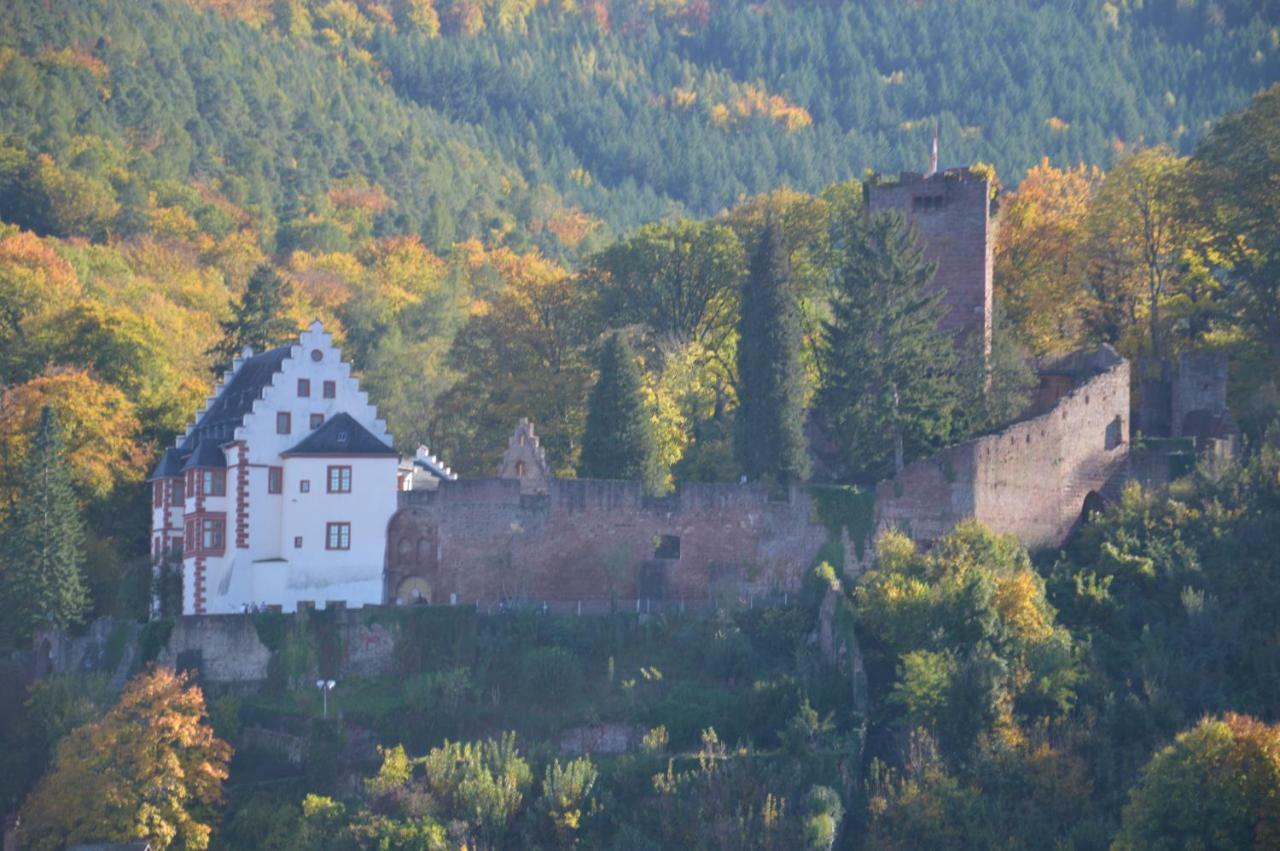 Panorama-Blick Miltenberg, 3 Pers., Zentr., Am Main, Terrasse, Bootverleih, P Διαμέρισμα Εξωτερικό φωτογραφία