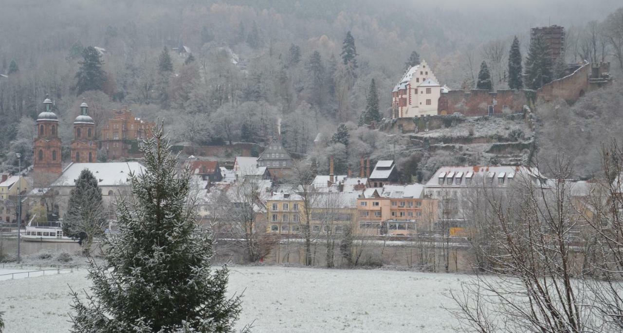 Panorama-Blick Miltenberg, 3 Pers., Zentr., Am Main, Terrasse, Bootverleih, P Διαμέρισμα Εξωτερικό φωτογραφία