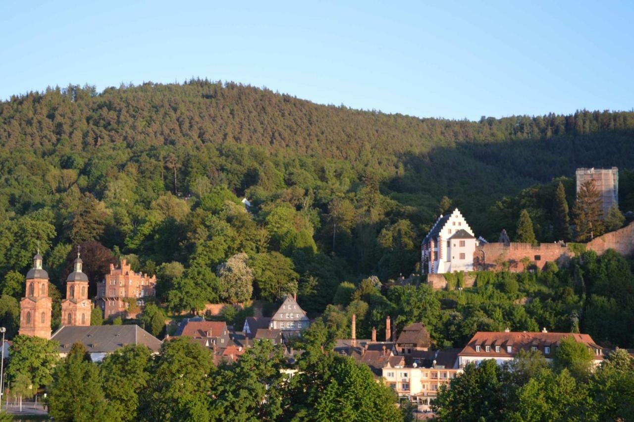 Panorama-Blick Miltenberg, 3 Pers., Zentr., Am Main, Terrasse, Bootverleih, P Εξωτερικό φωτογραφία
